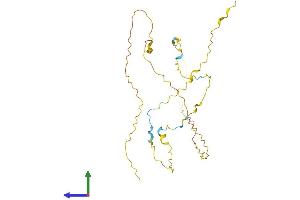 AlphaFold protein structure predicition of Mouse Recombinant Prr32 Protein, UniprotID A2AFE9 (PRR32 Protein (AA 1-284) (His tag))