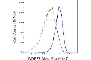 Flow cytometric analysis of WDR77 expression in HeLa cells using WDR77 antibody (ABIN7800856), 1:2,000). (WDR77 antibody)