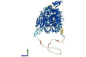 Protein Structure (PS) image for Nucleolar Protein 6 (NOL6) (AA 1-1146) protein (His tag) (ABIN7554759)