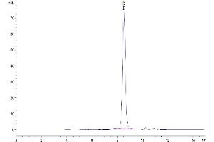 Size-exclusion chromatography-High Pressure Liquid Chromatography (SEC-HPLC) image for Transferrin (TF) (AA 20-698) protein (His tag) (ABIN7275694)