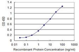 Detection limit for recombinant GST tagged PCDH10 is 0. (PCDH10 antibody  (AA 18-127))