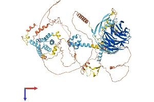 AlphaFold protein structure predicition of Human Recombinant FBXW10 Protein, UniprotID Q5XX13 (FBXW10 Protein (AA 1-1052) (His tag))