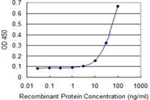 Detection limit for recombinant GST tagged EOMES is 3 ng/ml as a capture antibody. (EOMES antibody  (AA 461-569))
