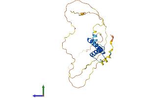 Protein Structure (PS) image for Mesoderm Posterior 1 (MESP1) (AA 1-243) protein (His tag) (ABIN7556779)