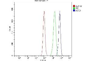 Flow Cytometry analysis of CACO-2 cells using anti-AGR2 antibody (ABIN5518726). (AGR2 antibody  (AA 21-175))