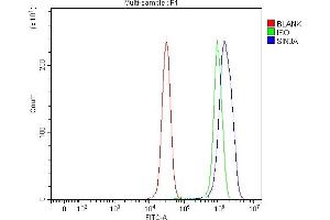 Flow Cytometry analysis of 293T cells using anti-mSin3A/SIN3A antibody (ABIN7602504). (SIN3A antibody  (AA 8-918))