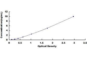 Typical standard curve (EBLN1 ELISA Kit)