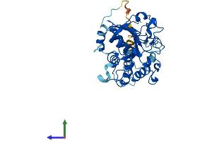 AlphaFold protein structure predicition of Human Recombinant ST3GAL4 Protein, UniprotID Q11206