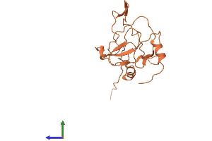 AlphaFold protein structure predicition of Human Recombinant LINC00696 Protein, UniprotID Q6ZRV3 (LINC00696/C3orf74 Protein (AA 1-163) (His tag))