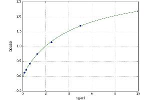A typical standard curve