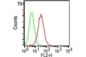Surface flow cytometric analysis of CD34 on KG-1 cells using CD34 antibody (ICO-115, red) and isotype control antibody (green). (CD34 antibody)