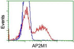 HEK293T cells transfected with either RC201377 overexpress plasmid (Red) or empty vector control plasmid (Blue) were immunostained by anti-AP2M1 antibody (ABIN2454657), and then analyzed by flow cytometry. (AP2M1 antibody  (AA 97-383))