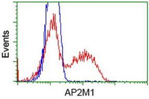 HEK293T cells transfected with either RC201377 overexpress plasmid (Red) or empty vector control plasmid (Blue) were immunostained by anti-AP2M1 antibody (ABIN2454657), and then analyzed by flow cytometry.