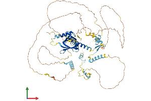 AlphaFold protein structure predicition of Mouse Recombinant Numb Protein, UniprotID Q9QZS3 (NUMB Protein (AA 1-653) (His tag))