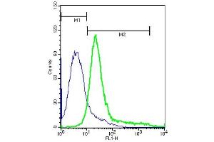 A549 cells probed with Rabbit Anti-Integrin Alpha V Polyclonal Antibody, FITC (ABIN678593-FITC) at 1:10 for 40 minutes (green) compared to control cells (blue). (CD51 antibody  (AA 901-1048))