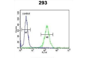 Flow Cytometry (FACS) image for anti-DAZ Interacting Protein 1 (DZIP1) antibody (ABIN3003968) (DZIP1 antibody)