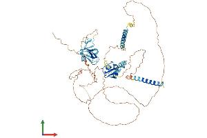 AlphaFold protein structure predicition of Human Recombinant RNF180 Protein, UniprotID Q86T96