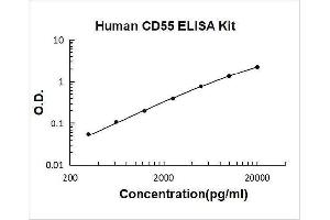 Complement Decay-Accelerating Factor (CD55) ELISA Kit