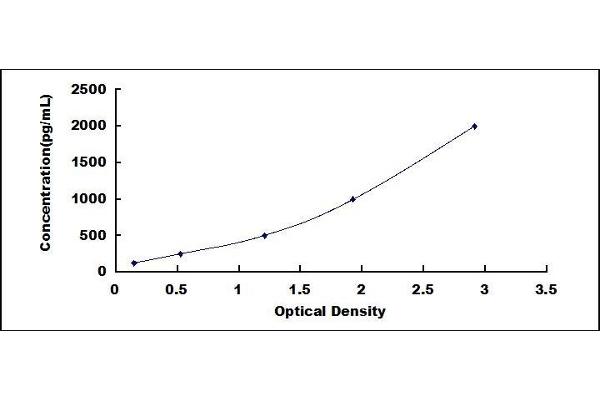 Olfactomedin 4 ELISA Kit