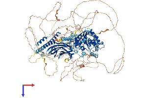 Family with Sequence Similarity 135, Member B (FAM135B) (AA 1-1403) protein (His tag)