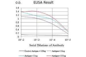 Black line: Control Antigen (100 ng),Purple line: Antigen (10 ng), Blue line: Antigen (50 ng), Red line:Antigen (100 ng) (CD8 alpha antibody  (AA 22-182))