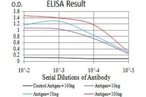 Black line: Control Antigen (100 ng),Purple line: Antigen (10 ng), Blue line: Antigen (50 ng), Red line:Antigen (100 ng) (Keratin 10 antibody  (AA 345-454))