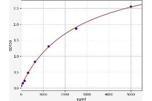 LGMN ELISA Kit