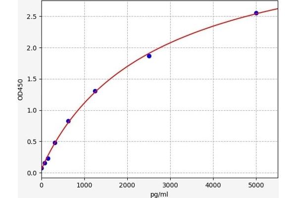 LGMN ELISA Kit