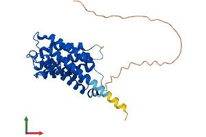 Protein Structure (PS) image for Aquaporin 6, Kidney Specific (AQP6) (AA 1-293) protein (His tag) (ABIN7559133)