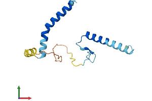 AlphaFold protein structure predicition of Human Recombinant LLPH Protein, UniprotID Q9BRT6 (LLPH Protein (AA 1-129) (His tag))