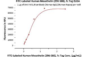 ELISA image for Mesothelin (MSLN) (AA 296-580) (Active) protein (Fc Tag,FITC) (ABIN6731264)