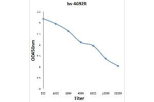 Antigen: 0. (GSK3 alpha antibody  (pSer21))