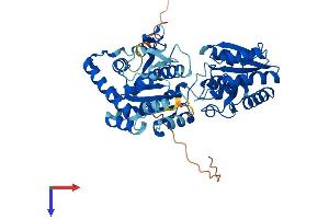 AlphaFold protein structure predicition of Human Recombinant PIGA Protein, UniprotID P37287 (PIGA Protein (AA 1-484) (His tag))