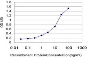 Detection limit for recombinant GST tagged IKBKB is approximately 0. (IKBKB antibody  (AA 3-120))