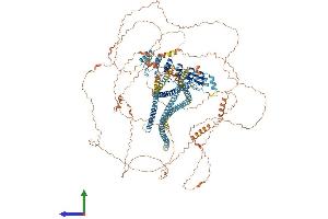 AlphaFold protein structure predicition of Human Recombinant ANKRD30B Protein, UniprotID Q9BXX2 (ANKRD30B Protein (AA 1-1392) (His tag))