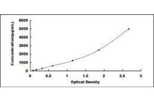 Sphingosine-1-Phosphate Receptor 3 (S1PR3) ELISA Kit