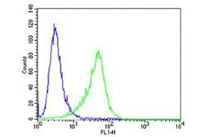 Flow cytometric analysis of A549 cells using C Antibody (Center) (green, Cat(ABIN654467 and ABIN2844201)) compared to an isotype control of rabbit IgG(blue). (CF150 (AA 266-295) antibody)