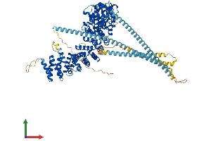 AlphaFold protein structure predicition of Human Recombinant USO1 Protein, UniprotID O60763 (USO1 Protein (AA 1-962) (His tag))