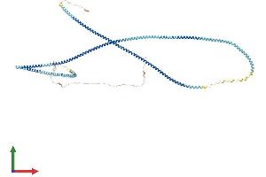 AlphaFold protein structure predicition of Human Recombinant ODF2 Protein, UniprotID Q5BJF6