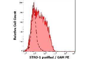 Separation of CD45dim cells stained using anti-human STRO-1 (STRO-1) purified antibody (concentration in sample 4 μg/mL, GAM PE, red-filled) from CD45dim cells unstained by primary antibody (GAM PE, black-dashed) in flow cytometry analysis (surface staining) of human bone marrow cells. (STRO-1 antibody)