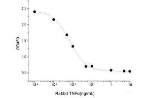 ELISA image for Tumor Necrosis Factor alpha (TNF alpha) (Active) protein (ABIN7320992) (TNF alpha Protein)