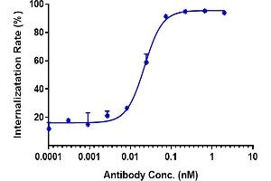 HKT288 induced OVCAR3 Luciferase activity was evaluated using huCD16a(V158)-NF-AT-Jurkat Reporter Cell.