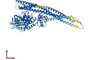 AlphaFold protein structure predicition of Mouse Recombinant Ikbke Protein, UniprotID Q9R0T8 (IKKi/IKKe Protein (AA 1-717) (His tag))