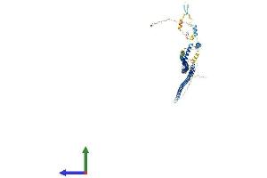 AlphaFold protein structure predicition of Human Recombinant CFAP45 Protein, UniprotID Q9UL16 (CCDC19 Protein (AA 1-551) (His tag))