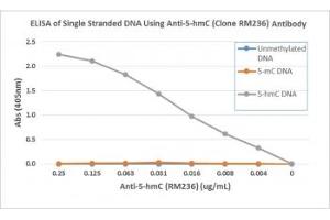 ELISA of single stranded DNA using recombinant 5hmC antibody. (Recombinant 5-Hydroxymethylcytosine antibody)