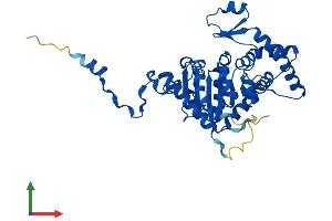 Protein Structure (PS) image for Deoxyhypusine Synthase (DHPS) (AA 1-369) protein (His tag) (ABIN7547089)