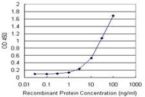 Detection limit for recombinant GST tagged FTL is 1 ng/ml as a capture antibody.