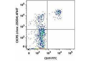 Flow Cytometry (FACS) image for anti-Chemokine (C-X-C Motif) Receptor 5 (CXCR5) antibody (Alexa Fluor 647) (ABIN2657144) (CXCR5 antibody  (Alexa Fluor 647))