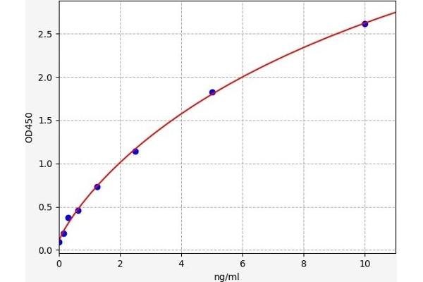 NOTCH3 ELISA Kit