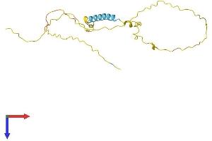 AlphaFold protein structure predicition of Human Recombinant TCEAL3 Protein, UniprotID Q969E4 (TCEAL3 Protein (AA 1-200) (His tag))